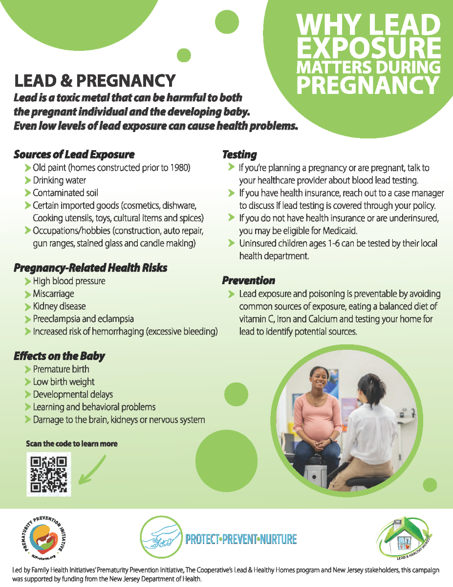 Lead%20and%20Pregnancy_Campaign%20Flyer_v2_green.png